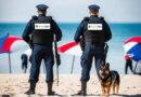 securite-francois-policier